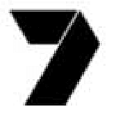 WASO Partner Logo