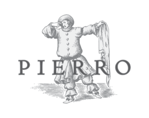 WASO Partner Logo