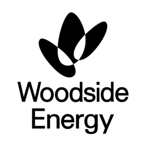 WASO Partner Logo
